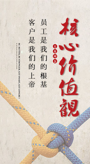 企业核心价植观